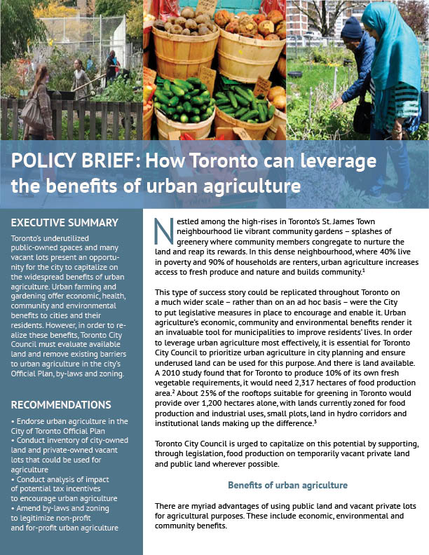 Image of policy brief document. Full text below