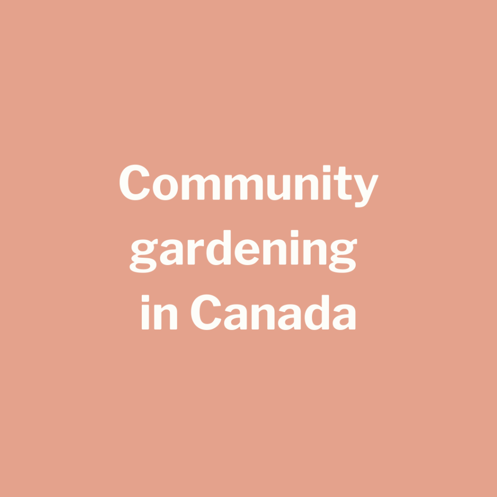 Pink square with white text: Community gardening in Canada